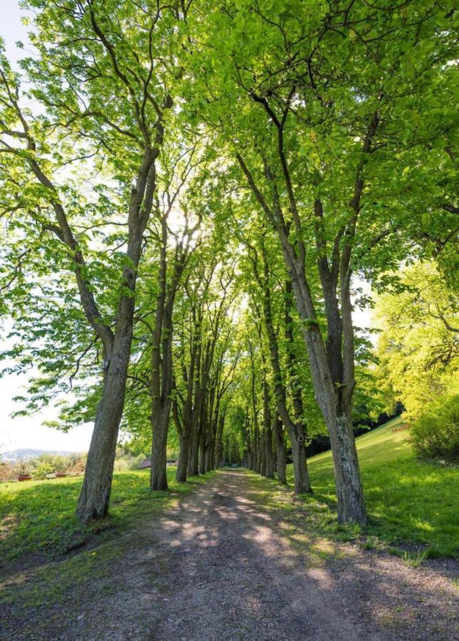 Urlaub In Schlossnaehe Artstetten Exteriér fotografie